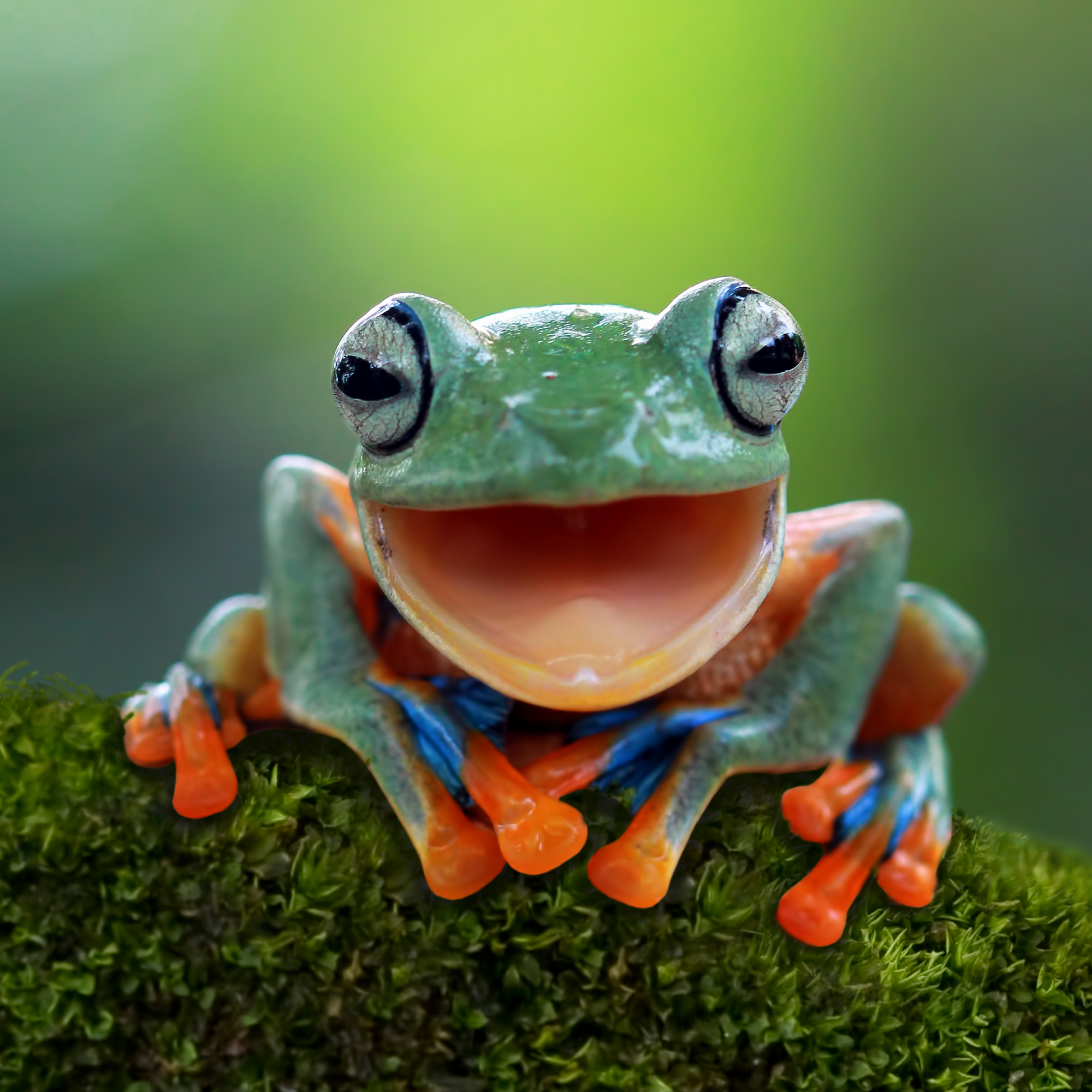 From The Field: The Endangered Wildlife Trust