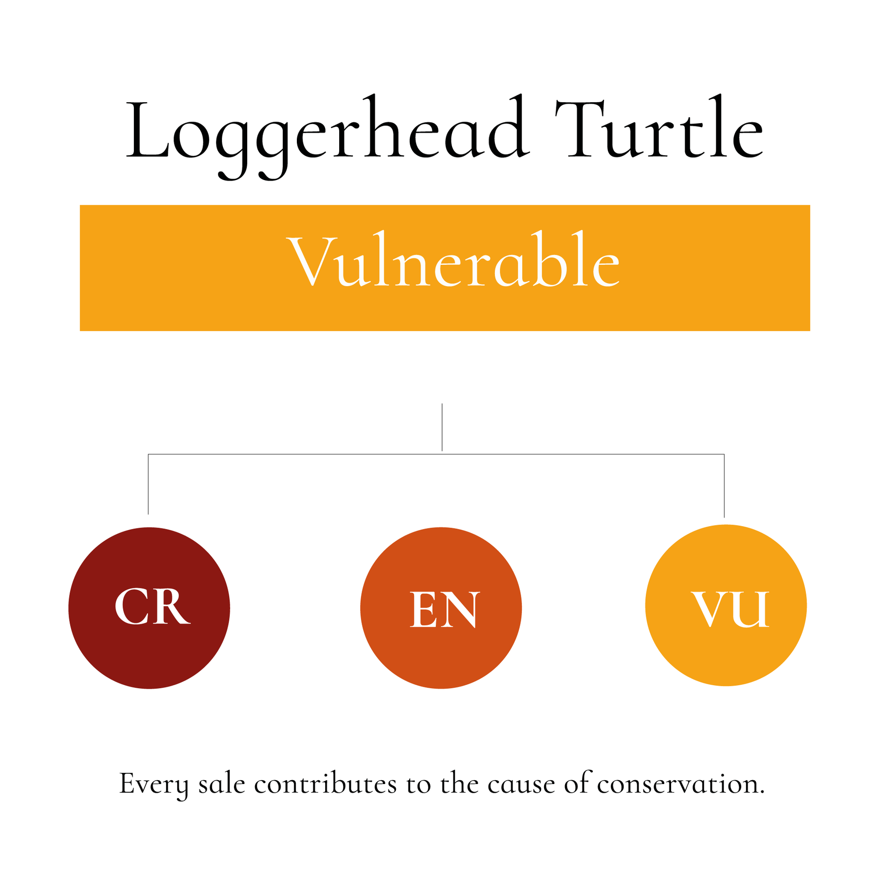 Hansie en Grietjie Loggerhead Turtle IUCN Vulnerable status, supporting conservation efforts in Africa with wildlife-themed socks.