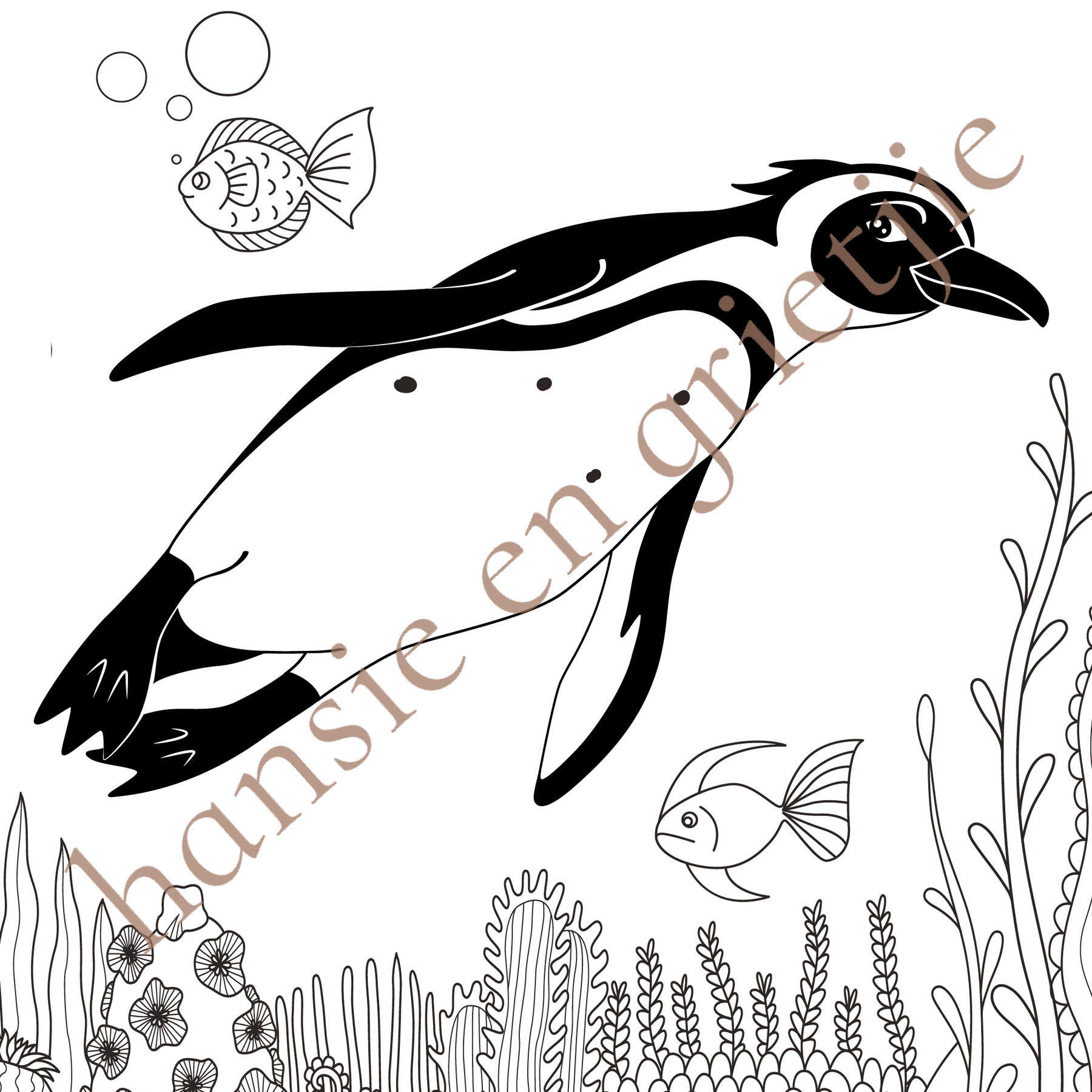 Hansie en Grietjie 'Africa's Threatened Colouring Book for Kids' featuring a penguin design, promoting conservation awareness in Africa.