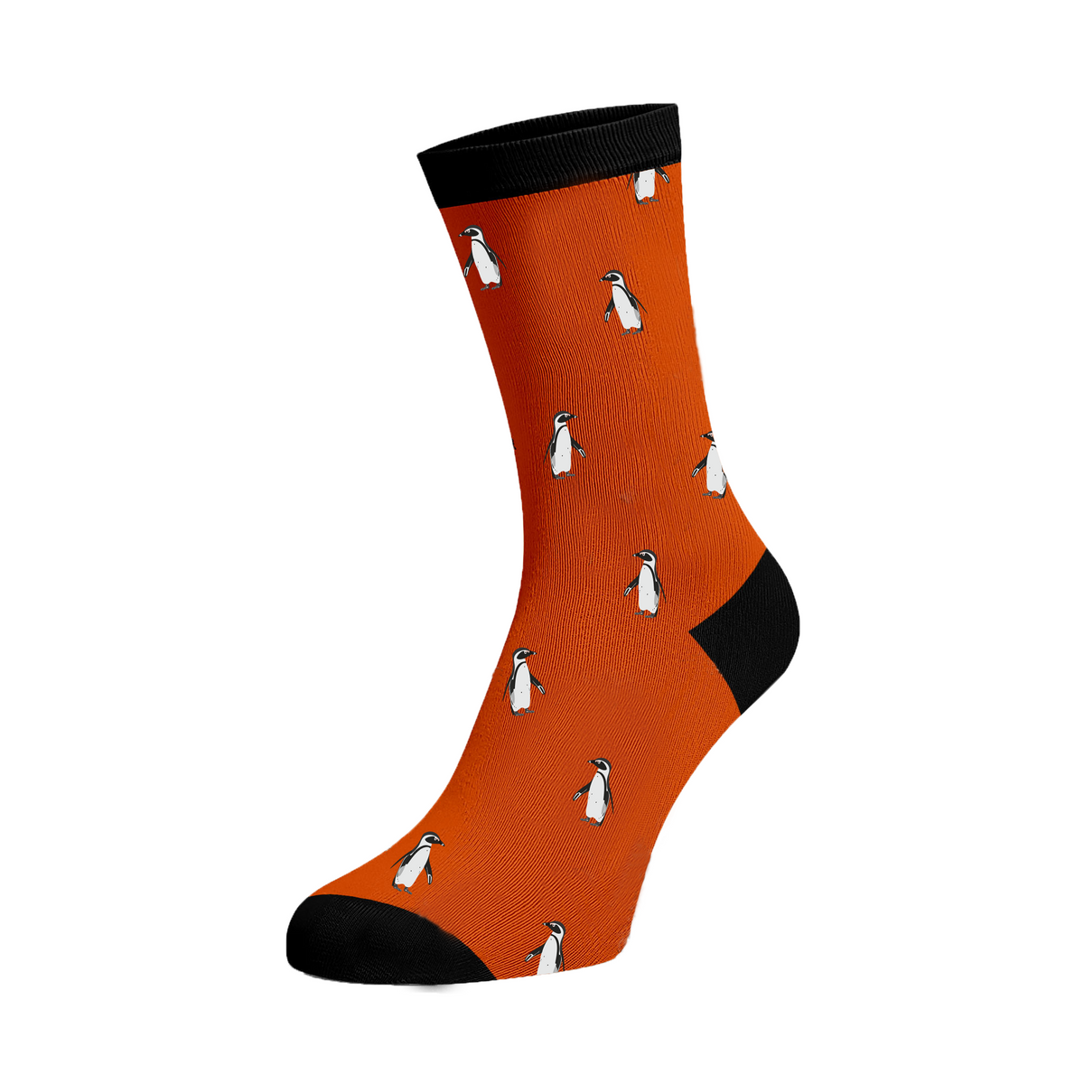 Hansie en Grietjie endangered socks featuring an African Penguin design, supporting conservation efforts in Africa.
