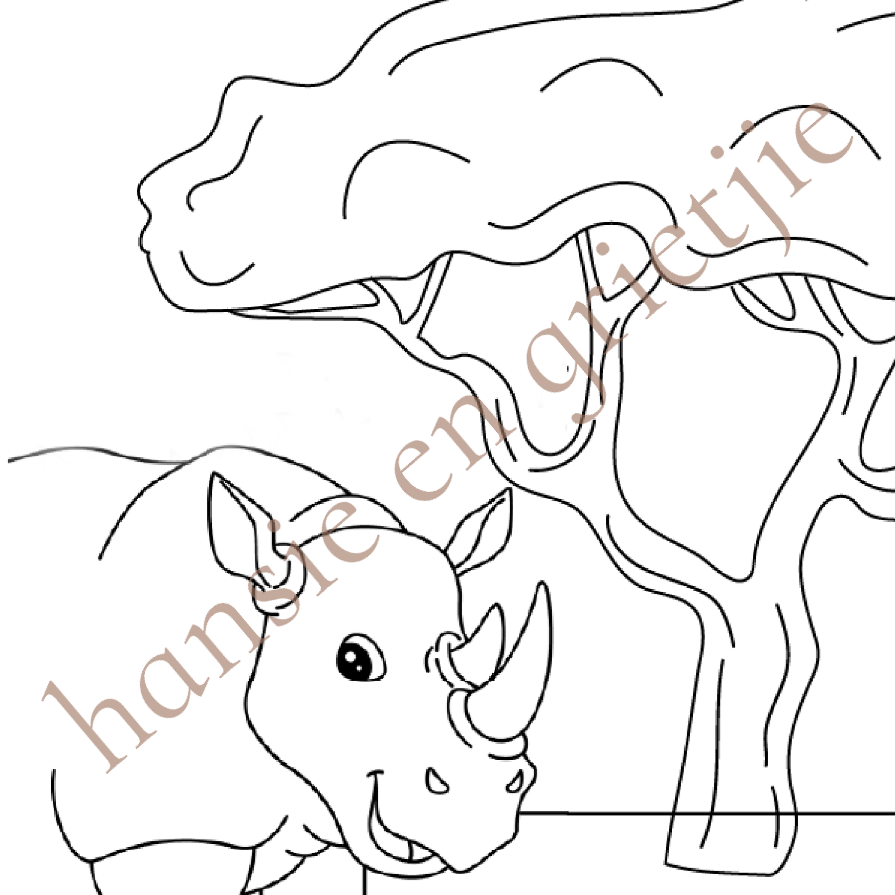 Hansie en Grietjie 'Africa's Threatened Colouring Book for Kids' featuring a rhino design, promoting conservation awareness in Africa.