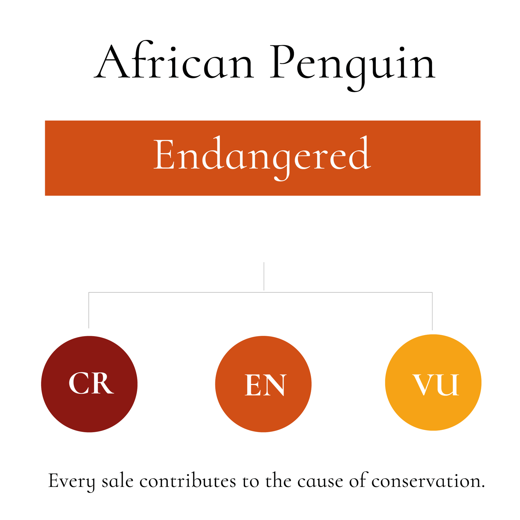 African Penguin Socks | Protect Penguins & Their Habitats