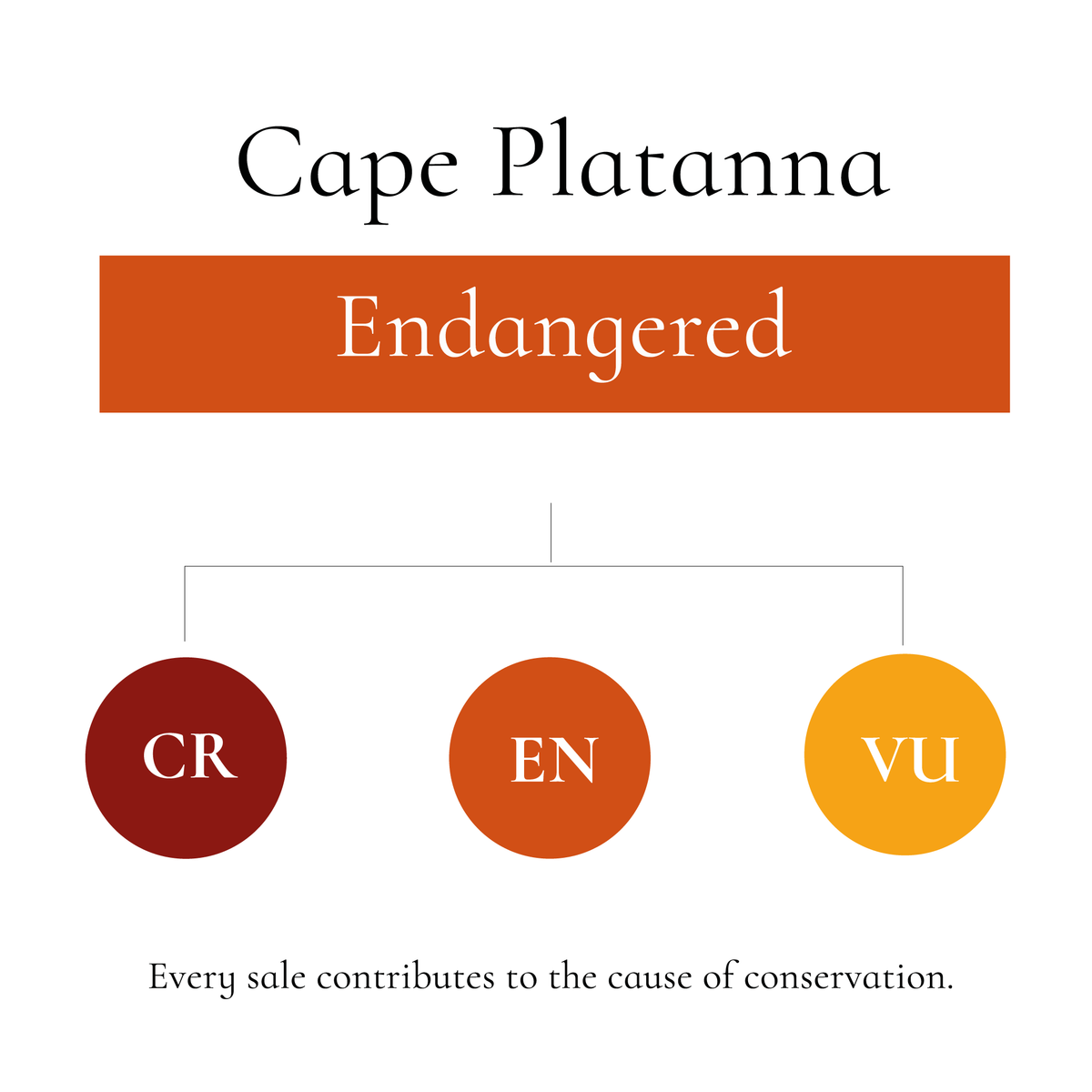 Cape Platanna Socks | Protect Their Habitat