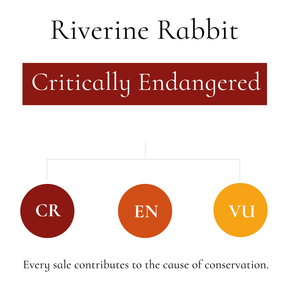 Riverine Rabbit Socks| Protect Their Habitat