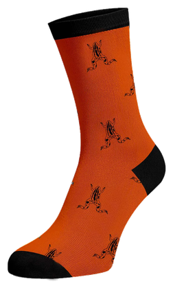Hansie en Grietjie Cape Platanna socks, orange, endangered